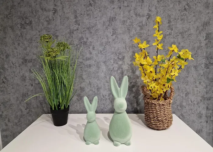 Na Letniej Z Garazem 